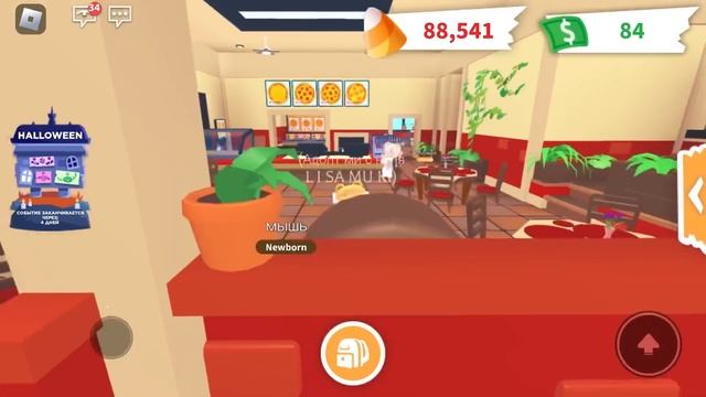 АДОПТ МИ С НУЛЯ!6 ЧАСТЬ!#adoptme #адоптми #adoptmeroblox