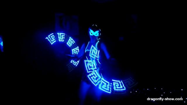 Светодиодное LED шоу 