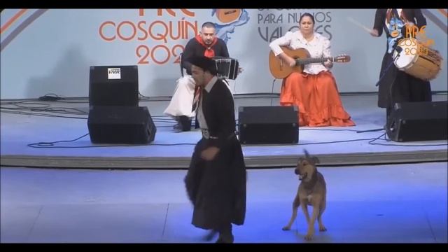 Malambo Canino смотреть онлайн