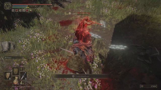 ELDEN RING - Edgar the Revenger (Mini-Boss) - PS5 смотреть онлайн