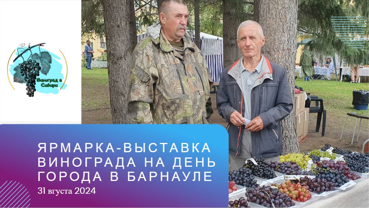 Ярмарка-выставка винограда на день города в Барнауле 31.08.2024 смотреть онлайн