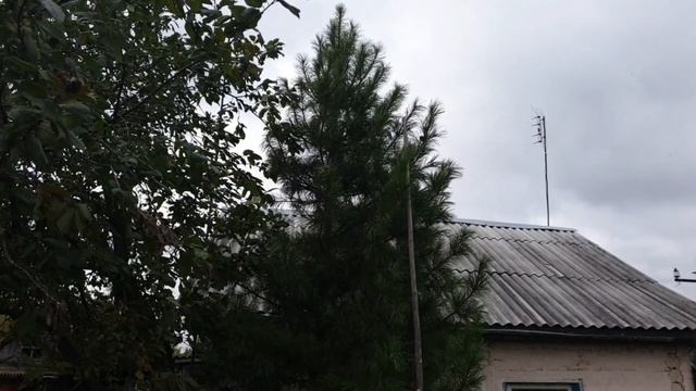 Какие грибы можно съедобные а какие нет!!!