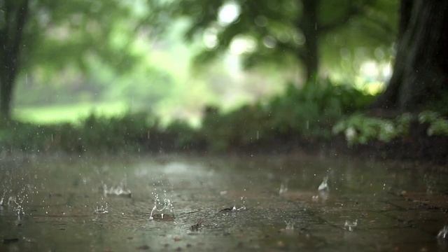 Священный Коран - сура Ар- Рахман смотреть онлайн