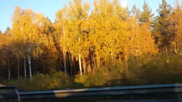 Золотая осень в Уфе(2) смотреть онлайн