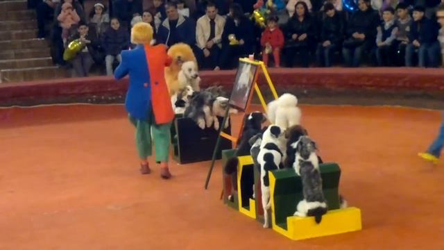 Бакинский Государственный Цирк Март 2012 Часть-3.mp4 смотреть онлайн