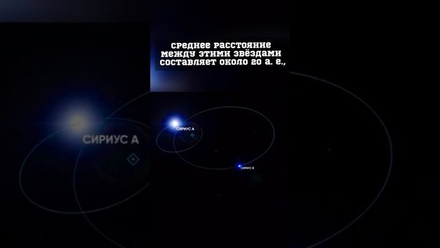 Сириус двойная звезда? #космос #астрономия #space #вселенная #spacex #наука #планеты #марс #сириус смотреть онлайн
