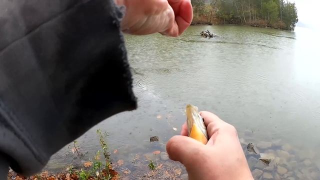 Float Fishing for Bluegills and Crappie with Gulp Minnows and Worms смотреть онлайн
