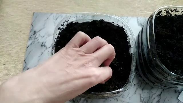 Зелень круглый год.Выращивание дома на балконе. смотреть онлайн