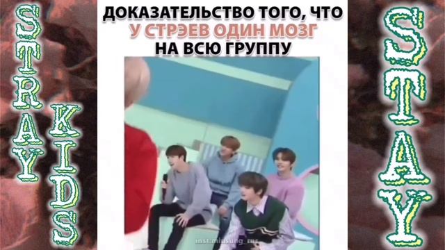 STRAYKIDS❤️смешные и милые моменты ?❤️#44❤️? смотреть онлайн