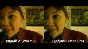 Калибровка и настройка телевизора для просмотра кино. Часть 1. SDR. Теория  (English subtitles)