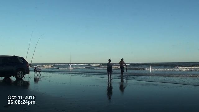 CATCHING SHARKS IN GALVESTON, TEXAS, USA смотреть онлайн