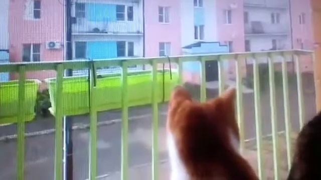 У нас идёт дождик. смотреть онлайн