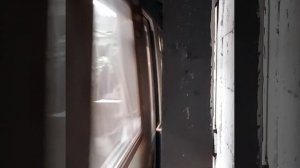 Прибытие метропоезда на станцию Маяковская, Санкт-Петербург