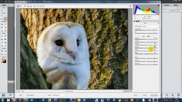 Editing JPEG images in Adobe Camera Raw from Adobe Elements смотреть онлайн