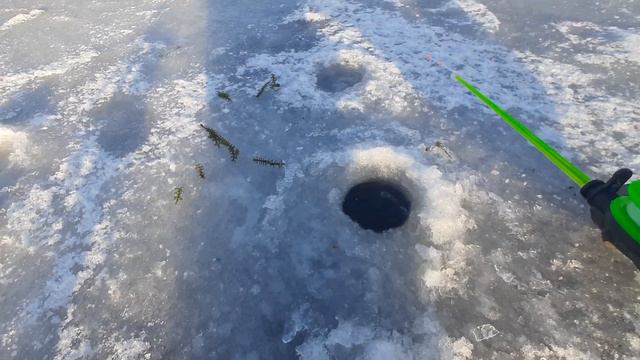 С одной лунки кучка ротана (ноябрь 2023) смотреть онлайн
