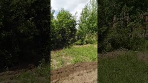 Вспашка мотоплугом Тарпан