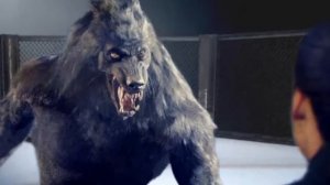 «ВЕДЬМИНА ПАДЬ»  9 серия (автор Светлана Гончаренко). Мистика. Истории на ночь.