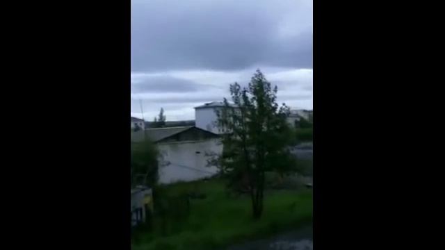 Медвежонок зашел на детскую площадку в поселке Дебин на Колыме смотреть онлайн