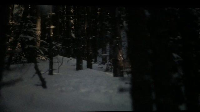 Демянский котел, медведи, волки / Kesselschlacht von Demjansk, Новгородская область смотреть онлайн