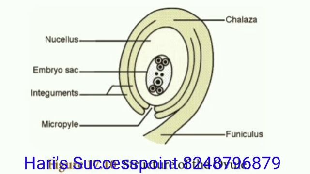 TNPSC Biology New syllabus - Reproduction in Plants смотреть онлайн
