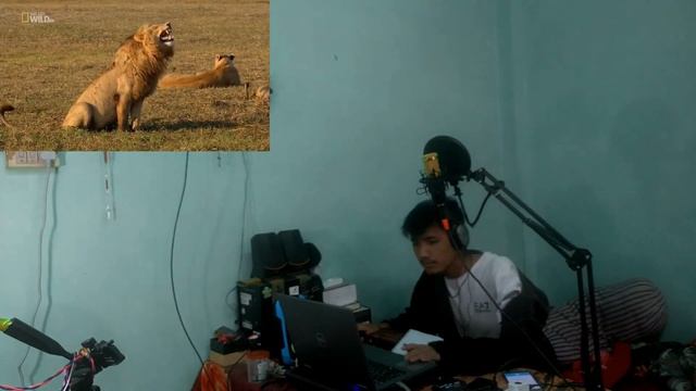 Auto-Tuneni Powerko Nina |Git Ringatsrangna |Parakjok Ka•saako смотреть онлайн