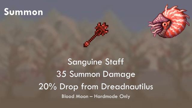 Terraria 1.4 | Challenge Ideas | Necromancer Class! смотреть онлайн