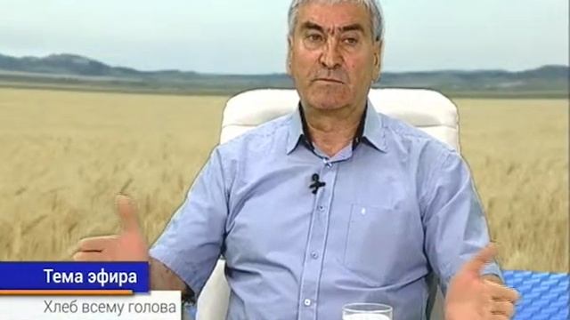 Плюс и Минус с Ольгой Бабаянц. Николай Кисеоларь (01 09 15) Хлеб всему голова смотреть онлайн