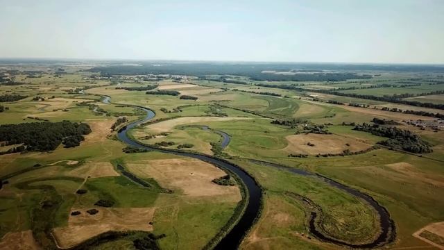 Беременная лисица с удавкой на шее пришла к людям в сарай, моля о помощи. Она надеялась на чудо смотреть онлайн