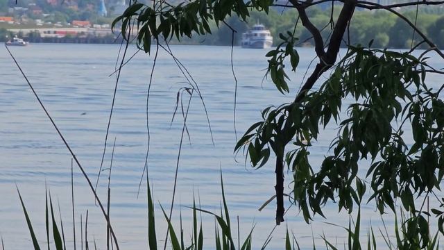 тест камеры #samsung  #galaxy  #s23ultra  #4k  60fps 3x 6x 10x оптический зум