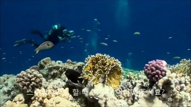 오피러스 겨울철 야외활동시 키프리터치와 함께 смотреть онлайн