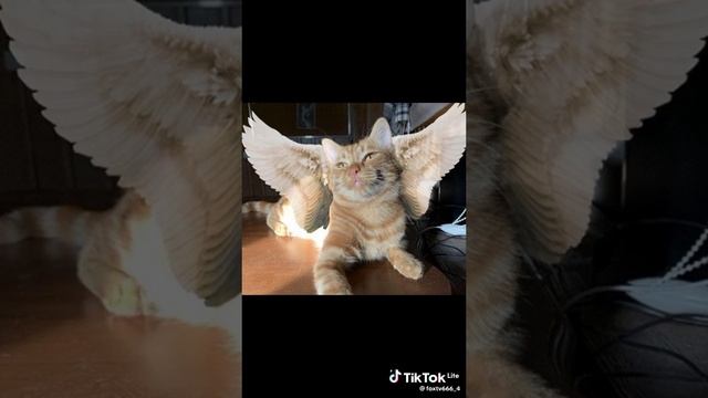 ?????????? смотреть онлайн