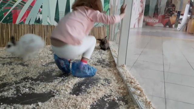 Кролики в контактном зоопарке. Золотой Вавилон. смотреть онлайн