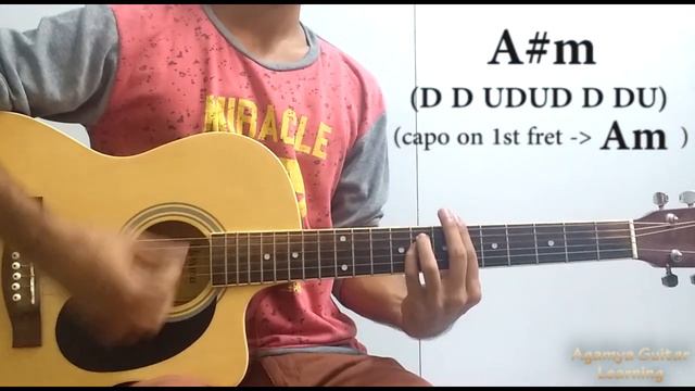 Dil Royi Jaaye - Guitar Chords Lesson+Cover, Strumming Pattern, Progressions смотреть онлайн