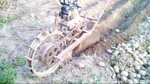 мотоокучник самоделка. пробуем окучивать.