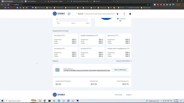 Storj VS ScPrime | 355-day Earnings | which has best profit? | Data Compare. смотреть онлайн