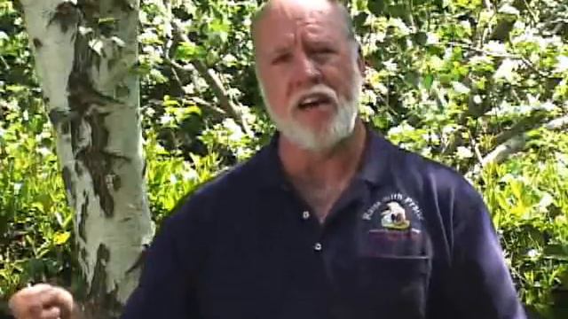 7. Занятие (начало обучения) Дрессировка смотреть онлайн