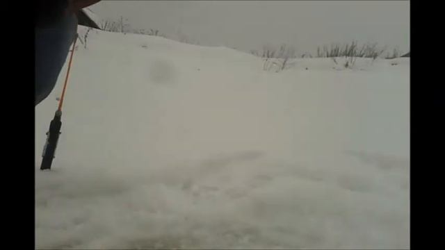 Рыбалка на осетра зимой на своей даче смотреть онлайн