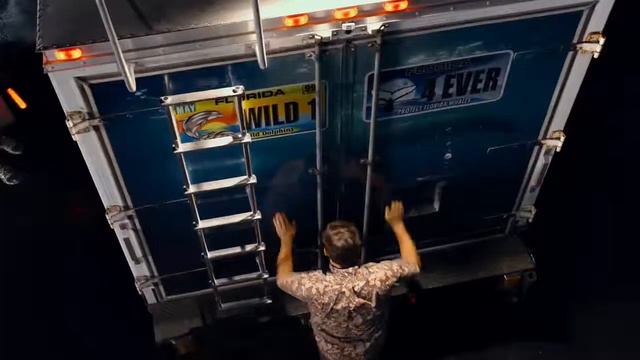 История дельфина 2 / Delfinin hekayəsi 2 [HD трейлер] смотреть онлайн