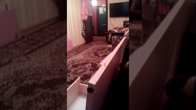 24 августа 2023 г.