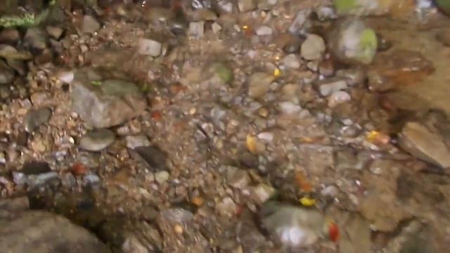 Первый водопад высота 30 метров смотреть онлайн