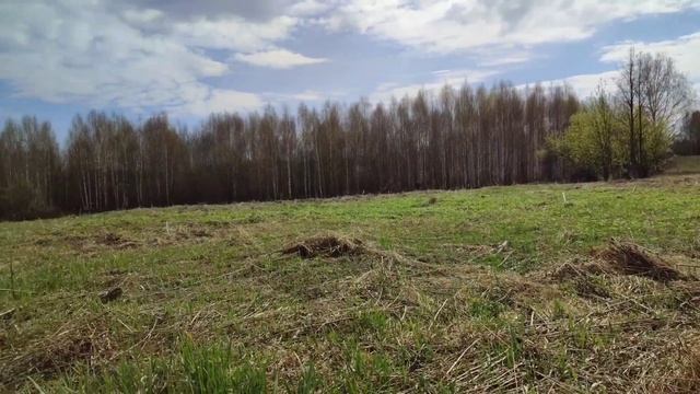 коп на урочище, царские монеты, куча перстней смотреть онлайн