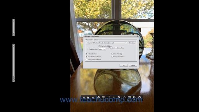 Photoshop Elements 2021 Tutorial Grid, Single Photo, and Full Screen Views Adobe Training смотреть онлайн