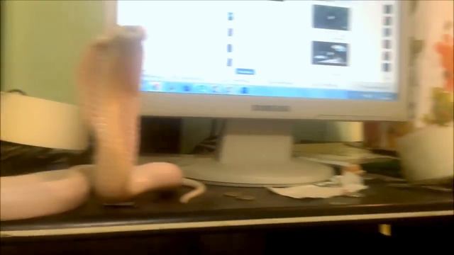 Самая эффективная охрана рабочего стола смотреть онлайн