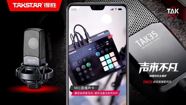 TAKSTAR TAK35 Professional Recording Microphone смотреть онлайн