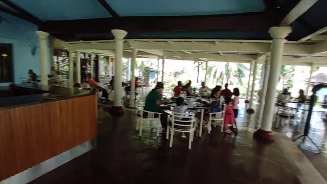 Bali Bird Park. Фламинго. смотреть онлайн