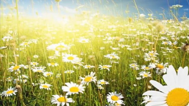 Родная обитель.mp4 смотреть онлайн