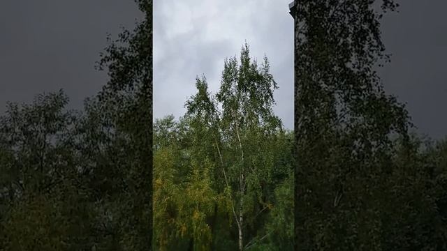 СЕНСАЦИЯ ВОЛШЕБНИК ВЫШЕЛ ИЗ МЕДИТАЦИИ - 23-09-16-ТВОРИТ СОЛНЦЕ-ПРОГНОЗ смотреть онлайн