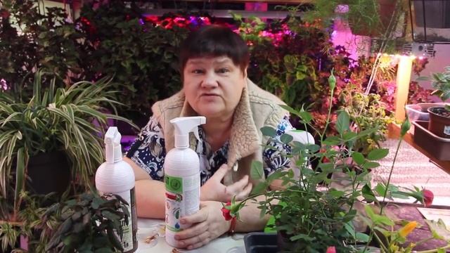 Как избавиться от мошек на рассаде. Про план на будущее. смотреть онлайн