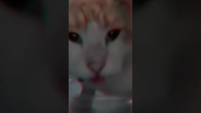 День молодёжи 2024 смотреть онлайн