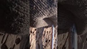 Снял с ручника,воздух ушёл!